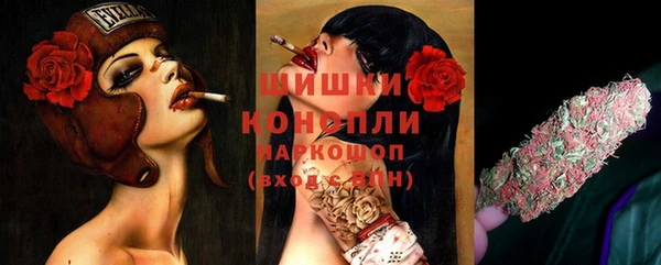 прущие грибы Алексеевка