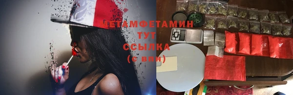 прущие грибы Алексеевка