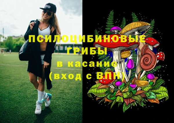 мескалин Алексин